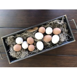 Eggcetera Ceramic Nest Eggs 12-Pack (Brown)