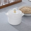 Bacon Grease Container Keeper with Crystal Lid and Strainer, 17