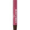 Burt's Bees Shimmer Lip Tint Set, Tinted Lip Balm Stick,