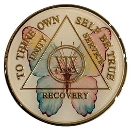 19 Year Recovery Medallion, Butterfly Design Serenity Prayer Token, AA Anniversary Chip, Gold Plated