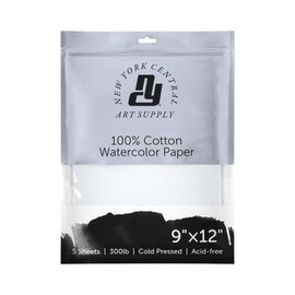 New York Central Watercolor Paper Sheets, 9x12 Inch, 300lb Cold Press, Pack of 5 - Professional Grade, Acid-Free, Archival, Superior Surface Stability for Artists, Students - for Wet and Dry Media