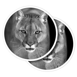 Vinyl Round Stickers (Set of 2) 10cm - BW - Adorable Puma Cougar Cat for Laptops, Tablets, Luggage, Scrap Booking, Fridges #35412