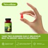NEWELLME Sugar-Free Apple Cider Vinegar (ACV) Gummies with The Mother