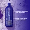 Shimmer Lights Hair Shampoo 31.5 fl oz