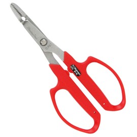 Cactus No.5-A Without grass roots