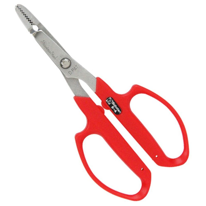 Cactus No.5-A Without grass roots