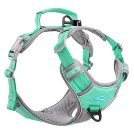 ThinkPet No Pull Harness Breathable Sport Harness with Handle-Dog Harnesses Reflective Adjustable for Medium Large Dogs,Back/Front Clip for Easy Control S Teal