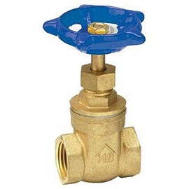 Homewerks 170-2-1-1 Lead Gate Valve, x Female Thread, Brass, 1-Inch, 1 Inch