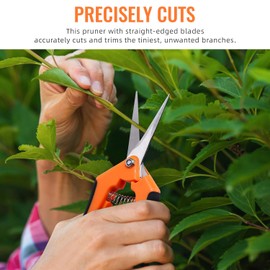 BEoffer 4 Pack Pruning Shears, 6.5 Inch Garden Scissors Gardening Hand Pruning Snips with Straight Stainless Steel Precision Blades for Gardening Flower Plant Precise Trimming and Pruning Maintenance