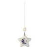Absorbs the light of the sun and lighting, and glows
