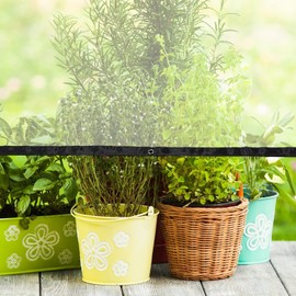 Outdoor Tarpaulin Transparent Garden Tarpaulin Sun Protection and Rain 0.12mm with Grommets，for Potted Plants in Greenhouse, Camping, Roof (Color : Clear, Size : 2.5x2.5m)