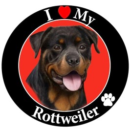 Fashion Jewelry LOVE ROTTWEILER HEAD DOG PAW ANIMAL Pendant On 925 Sterling Silver 18" necklace