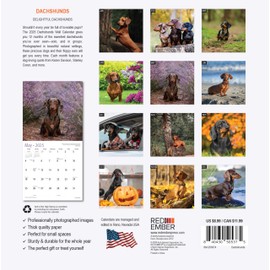 RED EMBER Dachshunds Mini 2025 Wall Calendar 12 Month | 7" x 14" Open | Thick & Sturdy Paper | Giftable | Calendar 2025