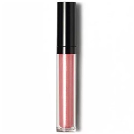 Beauty Basics PLUMPING GLOSS ~POSH~ BALMY ULTRA HYDRATING LIP GLOSS PLUMP HYPOALLERGENIC