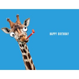Paper Rose Son-in-Law Birthday Card - Happy Birthday Card for Men with 'How Old?' Funny Giraffe Design