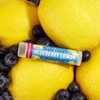 Crazy Rumors Blueberry Lemon Lip Balm. 100% Natural, Vegan, Plant-Based,