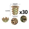 AOYEGIC Pack of 30 screw-in nuts, threaded insert, threaded sleeve,