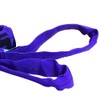 EYE-EYE POLYESTER SLING 1T 2M