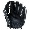 SAKURAI Promark FGS-3141 General Soft Softball All-round Gloves, Present