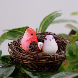 Zenarao 4Pcs Miniature Bird Figurines, Mini Resin Birds, Fairy Garden Accessories and Supplies, Micro Landscape, Bonsai Craft Decor Outdoor Décor