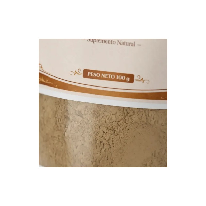 Hongo Melena De Leon En Polvo Puro 100gr