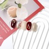 Petite Fall Nail Tip - Short Oval / 쁘띠가을 네일팁