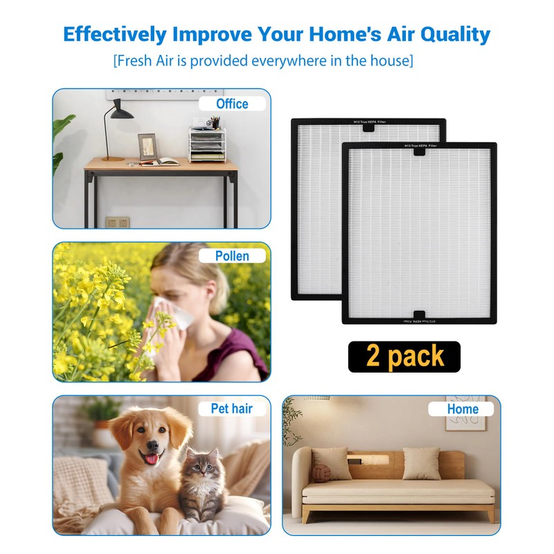 2 Pack F301H HEPA Filter Replacement Compatible with BluDri, Mounto
