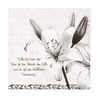 Mank Tissue Deluxe Mourning Napkins 40 x 40 cm Premium