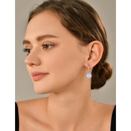 YL Round Earrings 925 Sterling Silver Rose Cut 5A Cubic Zirconia Earrings Jewellery Gifts for Women Mother Girlfriend, Silver, Cubic Zirconia