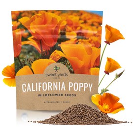 California Orange Poppy Wildflower Seeds - Bulk 1 Ounce Packet - Over 20,000 Native Seeds - California State Flower!