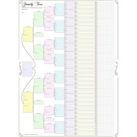 Family Tree Chart; Compact 8 Generation Pedigree Chart 120g Paper (Coloured, Folded)