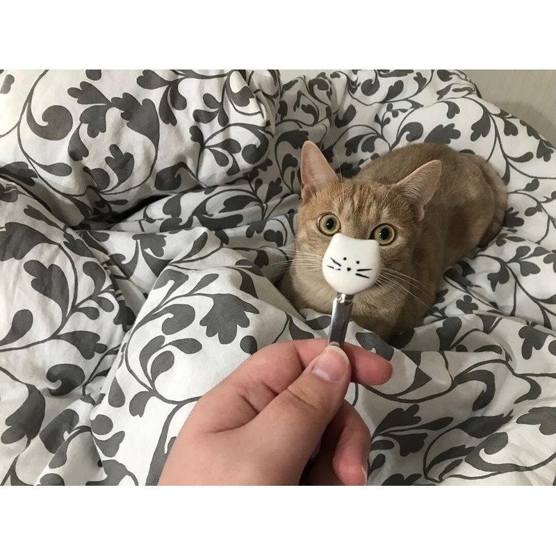 AYOMI Kaffee- bzw. Teelöffel aus Edelstahl mit Katzenköpfen, 4-teilig, feinpoliert