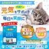 PETLINKMORE Lactic Acid Bacteria Supplement for Cats, Veterinarian Supervision, Intestinal