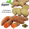 fresh turmeric ginger roots Turmeric and Ginger Roots 8oz each,