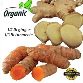 fresh turmeric ginger roots Turmeric and Ginger Roots 8oz each, Fresh, Herbal, Non GMO, Organic
