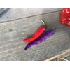 Buena Mulata Spicy Purple Pepper Premium Seed Packet