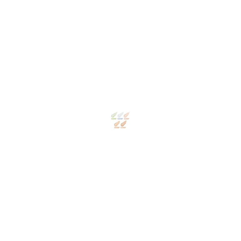 에스쁘아 NEW 이지 블렌딩 컨실러 NEW Easy Blending Concealer