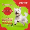 Greenvet Arnica
