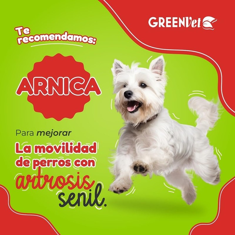 Greenvet Arnica