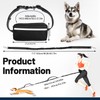 Jogging Lead for Dogs, Hands-Free Waist Belt Dog Lead, Running