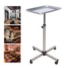 Salon Tray Beauty Rolling Cart,Height Adjustable Premium Aluminum Salon Tattoo