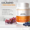 Vitasei Colágeno Hidrolizado Polvo Péptidos Resveratrol Coco Tipos 16oz Porciones