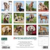 Just Weimaraners 2023 Wall Calendar