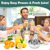 QGGTQG Lemon Squeezer Citrus Juicer Stainless Steel with Container 300