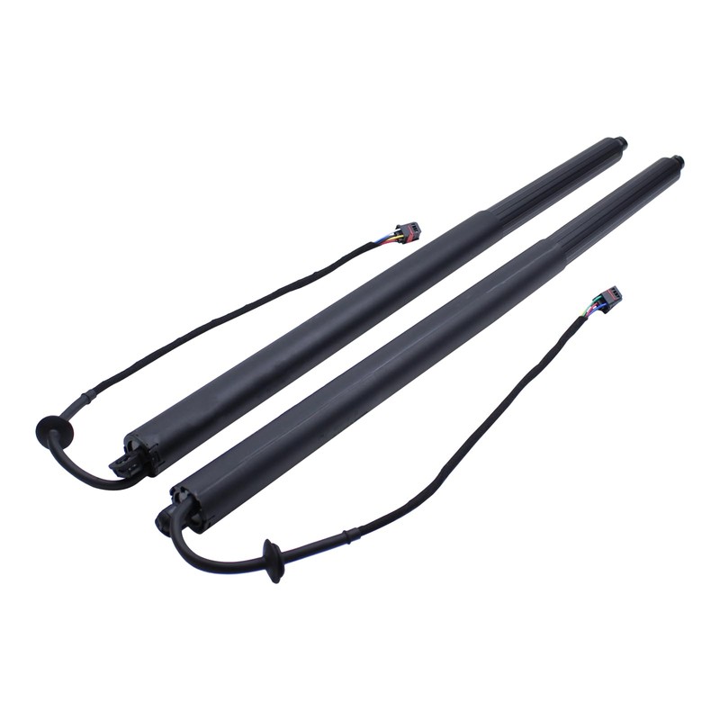 Roneeson 2Pcs Rear Left and Right Tailgate Lift Support for