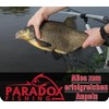 Paradox Fishing Method Feeder Set of 4 30g/40g/50g/60g + Mould