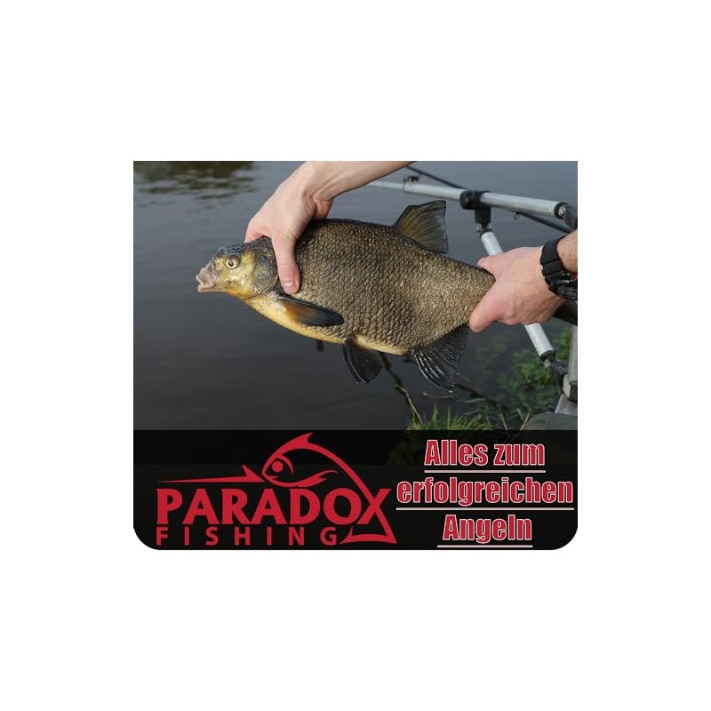 Paradox Fishing Method Feeder Set of 4 30g/40g/50g/60g + Mould