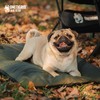 OneTigris Large Dog Bed Washable Matteress Anti Slip Cushion for