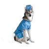Midlee Scrubs Dog Costume (Medium)