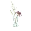 LSA Flower Base, Clear, W7xD7xH13cm, LSA LCQ07, G1583-00-161